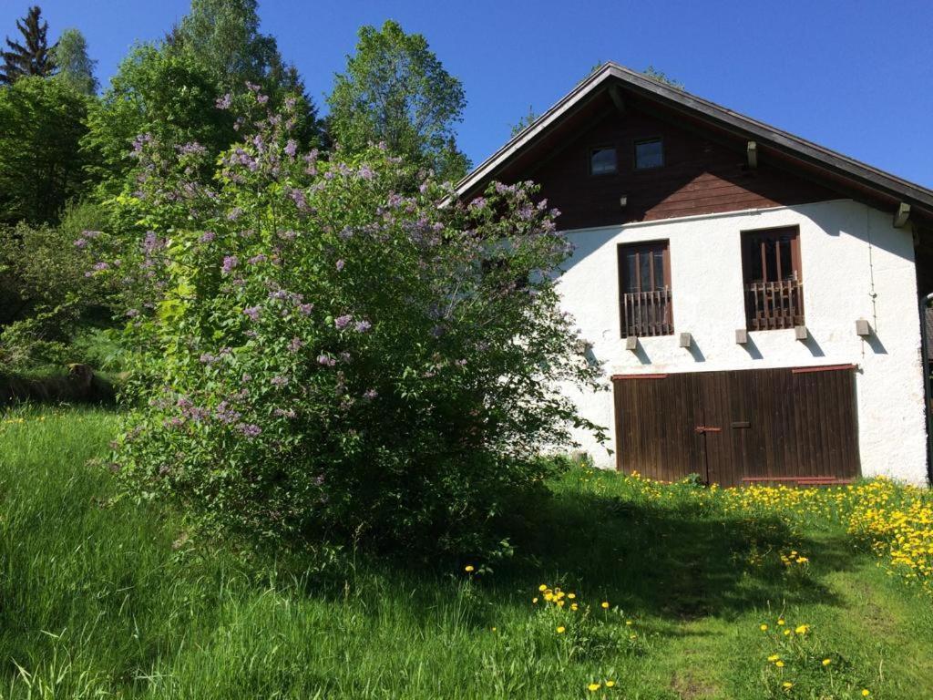 Ferienwohnung Gut Eschlsaign Arrach Exterior foto